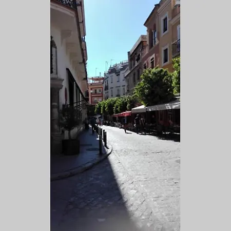 1 Minute From Cathedral. Feel The Heart Of Apartamento Sevilla
